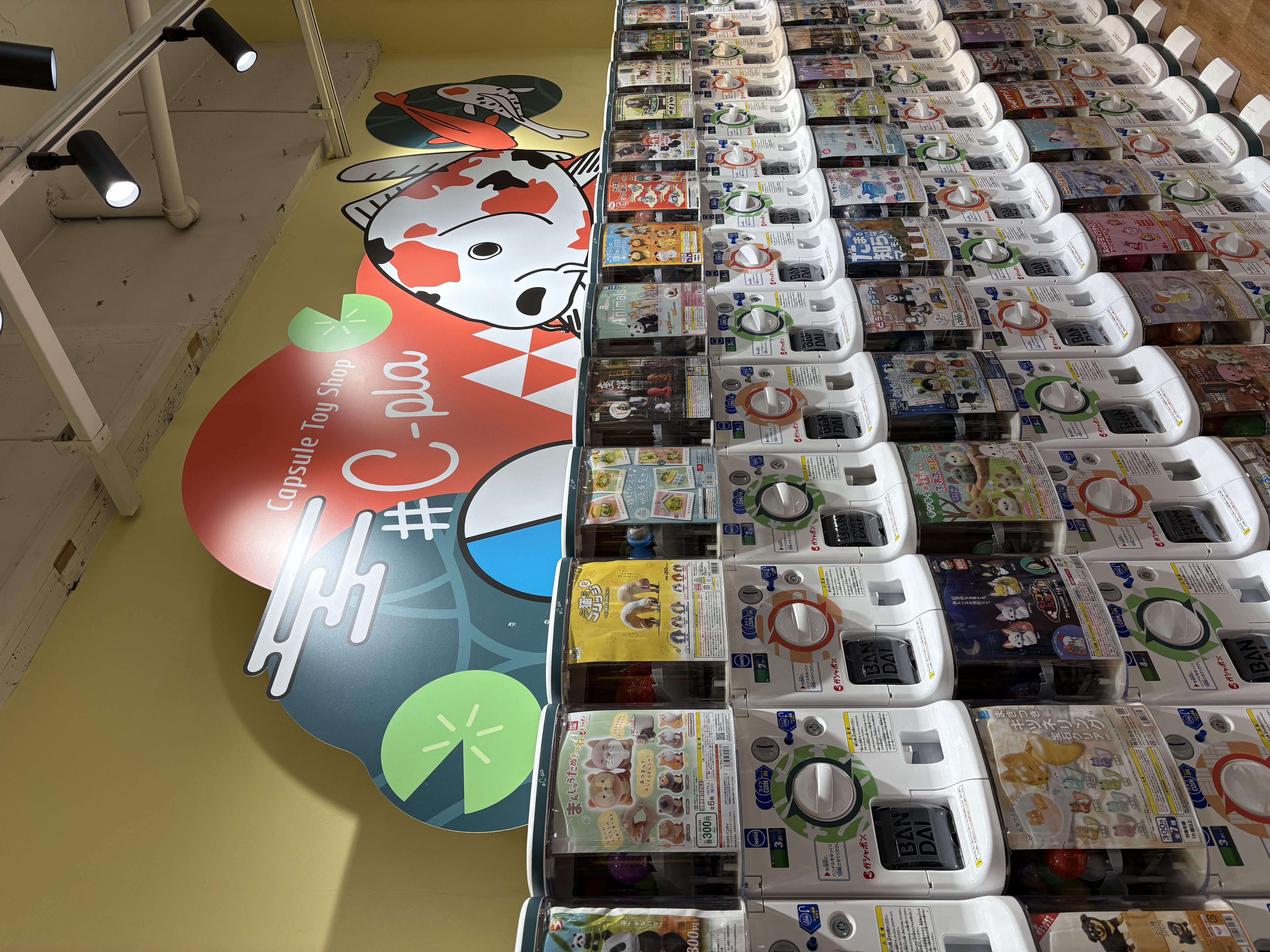 本通に新たなガチャガチャ専門店が登場！【本通マガジン「ウー」取材こぼれ話】｜広島本通商店街